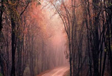 国安赛前为于大宝举办退役仪式，董事长周金辉送上纪念球衣.