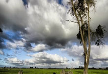 冲2025首冠!郑钦文首秀时间确定,被“冷落”后,组委会紧急弥补.