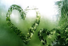 英博队内人士坦言：曾经的马莱莱回来了，朱鹏宇与他形成互补.