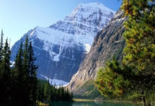 中国队获得亚冬会男子冰壶铜牌央视新闻客户端.：欧博官网