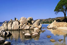 亚冬会:山东运动员公俐连战连捷斩获“开门红“.:欧博官网